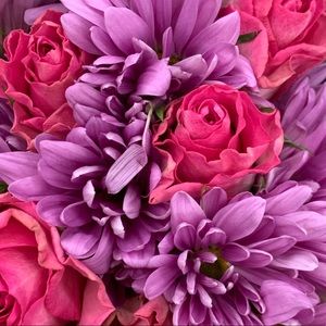 Meet your Posher, Anabel